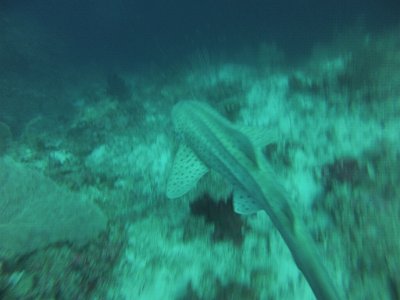 2015-11-26 13-14-00.03